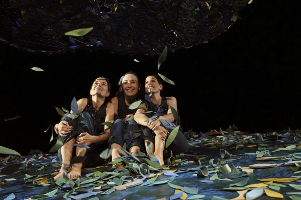 Sotabosc | © Ana Zaragoza Sotabosc | © Ana Zaragoza