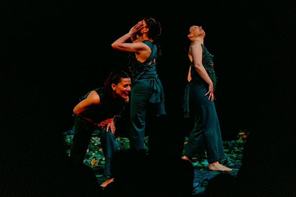 Sotabosc d'Inspira Teatre Sotabosc d'Inspira Teatre